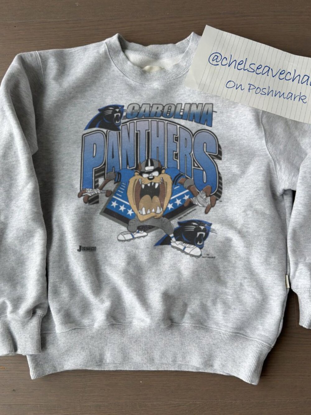 Vintage Carolina Panthers Taz Looney Toons Football Sweatshirt, Retro NFL Shirt